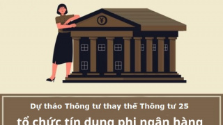 VNBA mời hội viên góp ý dự thảo Thông tư thay thế Thông tư 25