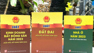 Intensive training courses on 3 new Laws on Land, Housing, Real Estate Business