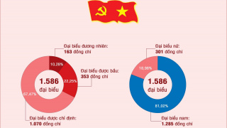 [Infographic] Cơ cấu, thành phần đại biểu dự Đại hội XIV của Đảng