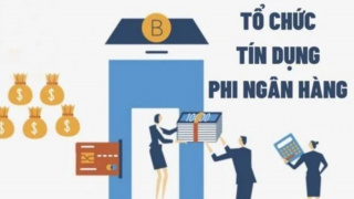 VNBA lấy ý kiến hội viên về dự thảo Thông tư quy định mạng lưới tổ chức tín dụng phi ngân hàng