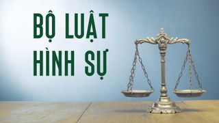 VNBA mời hội viên góp ý dự thảo Bộ luật Hình sự (sửa đổi)