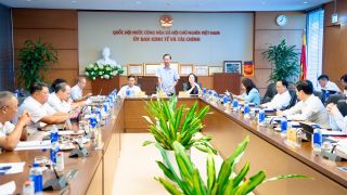 Thẩm tra sơ bộ dự án Luật sửa đổi, bổ sung Luật Ngân hàng Nhà nước Việt Nam, Luật Phòng, chống rửa tiền và Luật Các tổ chức tín dụng