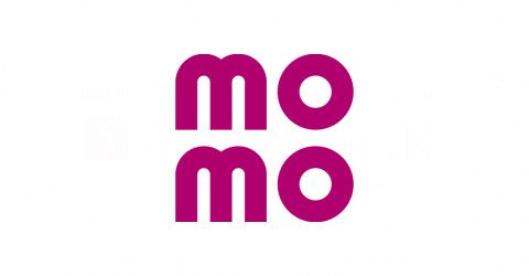 CÔNG TY CỔ PHẦN DỊCH VỤ DI ĐỘNG TRỰC TUYẾN (MOMO)