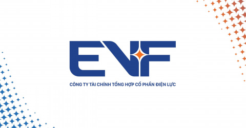 Công ty Tài chính Tổng hợp Cổ phần Điện lực (EVF)