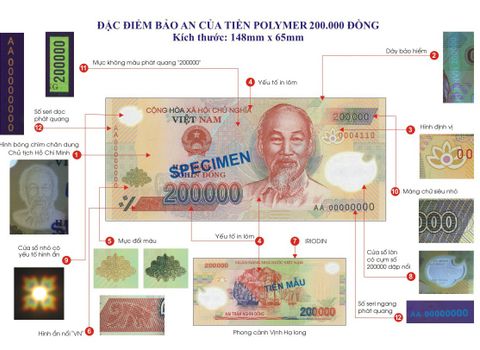 Tập huấn Thông tư 58/2024/TT-NHNN về xử lý và phân biệt tiền giả, tiền nghi giả trong ngành ngân hàng