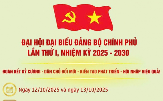 [Infographic] Đại hội đại biểu Đảng bộ Chính phủ lần thứ I, nhiệm kỳ 2025- 2030