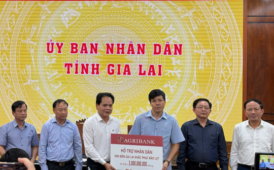 Agribank trao 3 tỷ đồng hỗ trợ nhân dân Gia Lai khắc phục hậu quả bão số 13