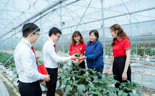 Agribank “xanh hóa” dòng vốn tín dụng hướng tới Net Zero