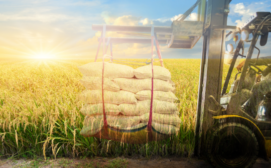 Bac A Bank dành 200 tỷ đồng hỗ trợ sản xuất lúa gạo chất lượng cao