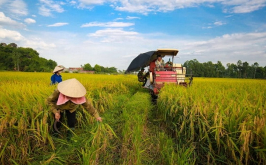 ADB, BIDV support Việt Nam’s sustainable agriculture with $250 million financing package