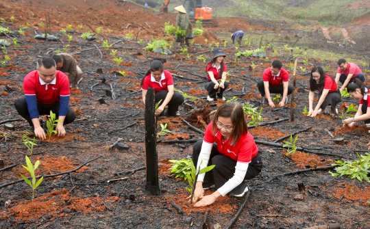 SeABank hỗ trợ trồng gần 671 nghìn cây xanh tại Hà Tĩnh, vượt mục tiêu 1 triệu cây xanh