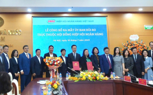 Vietnam Banks Association debuts its Risk Committee