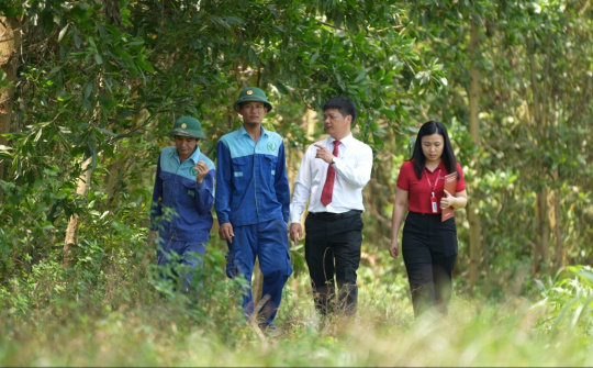 Agribank mở đường tín chỉ carbon Việt ra thị trường quốc tế