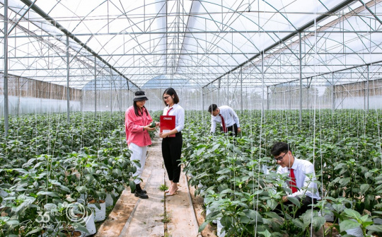 Tín dụng xanh tại Agribank: Dấu ấn tiên phong vì sự phát triển bền vững