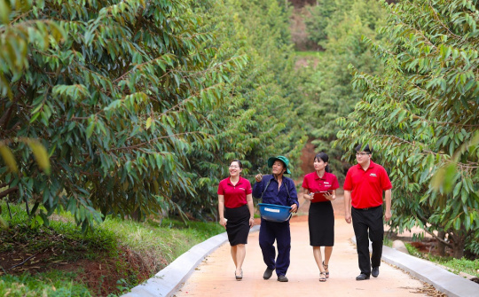 Agribank “xanh hóa” tín dụng, thúc đẩy phát triển năng lượng sạch