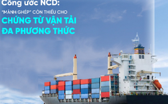 VNBA lấy ý kiến hội viên về Công ước Chứng từ vận tải có thể chuyển nhượng