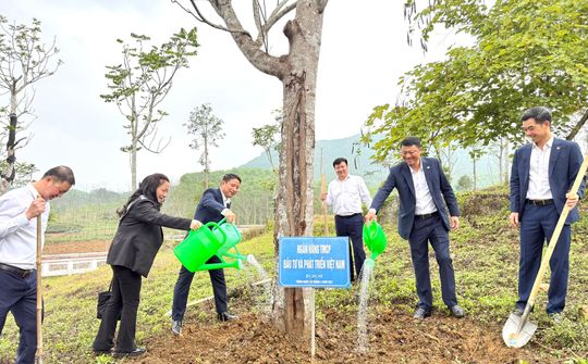 BIDV tham gia đoàn công tác ngành Ngân hàng về nguồn tại Tân Trào