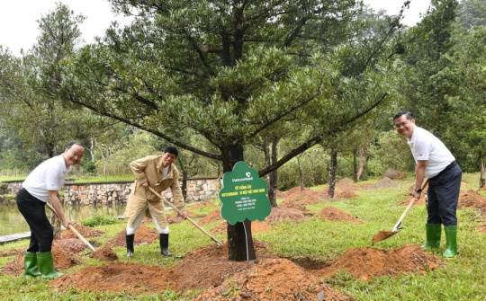 Vietcombank phát động Tết trồng cây năm 2026 tại Yên Tử