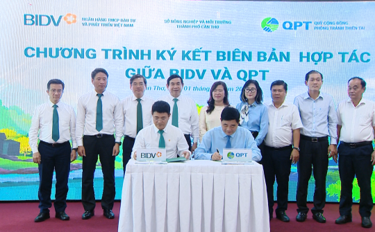 BIDV và Quỹ Cộng đồng phòng tránh thiên tai trồng 240.000 cây xanh tại Đồng bằng sông Cửu Long