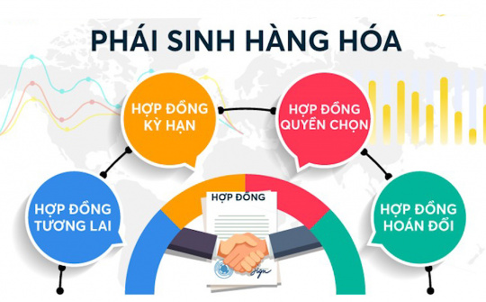 VNBA lấy ý kiến hội viên về đề án phát triển thị trường hàng hóa phái sinh