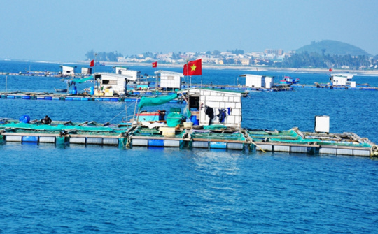 VNBA lấy ý kiến hội viên về dự thảo Nghị định liên quan đến quyền sử dụng khu vực biển nuôi trồng thủy sản