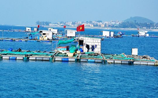 VNBA lấy ý kiến hội viên về dự thảo Nghị định liên quan đến quyền sử dụng khu vực biển nuôi trồng thủy sản