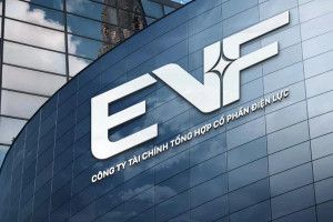 EVF báo lãi trước thuế 6 tháng đầu năm 2026 đạt gần 700 tỷ đồng