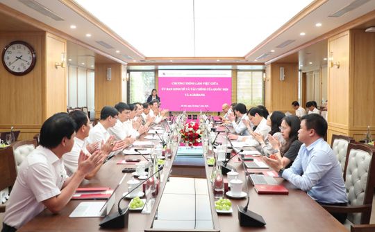 Ủy ban Kinh tế và Tài chính của Quốc hội tham vấn Agribank về 3 dự án luật lĩnh vực ngân hàng
