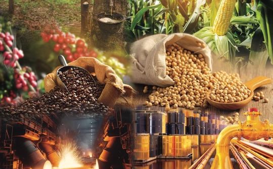 VNBA mời hội viên góp ý về hồ sơ dự án Luật Giao dịch hàng hoá phái sinh