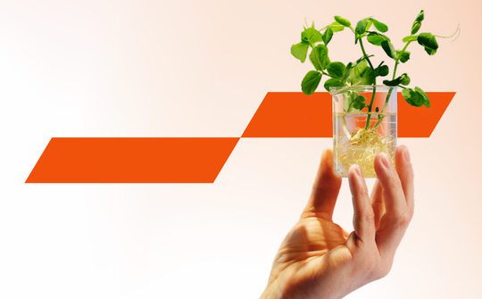 Để vốn xanh không còn là cánh cửa khó mở