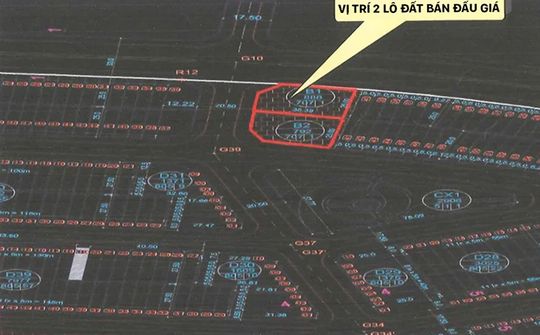 SCB tổ chức bán đấu giá 2 bất động sản tại Đà Nẵng, đẩy mạnh xử lý tài sản bảo đảm