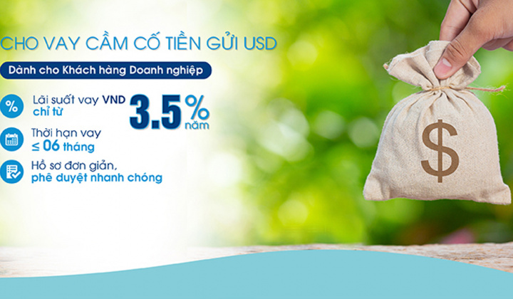 OceanBank cho vay cầm cố tiền gửi USD với lãi suất chỉ từ 3,5%/năm