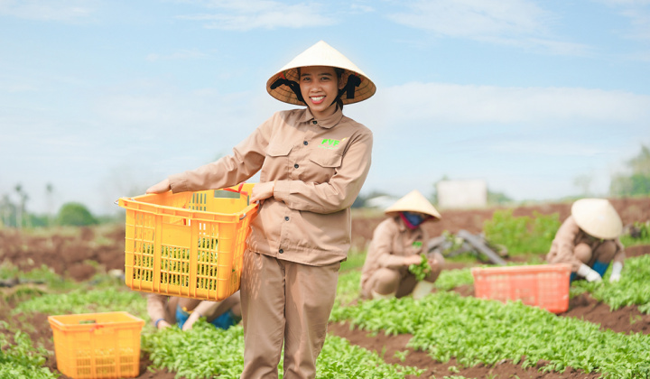 Bac A Bank mang giải pháp tài chính chuyên biệt cho hợp tác xã