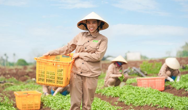Bac A Bank mang giải pháp tài chính chuyên biệt cho hợp tác xã