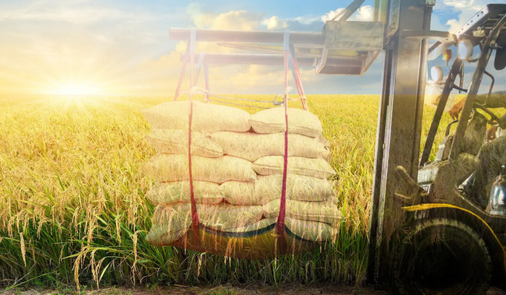 Bac A Bank “trợ lực” cho các doanh nghiệp ngành lúa gạo