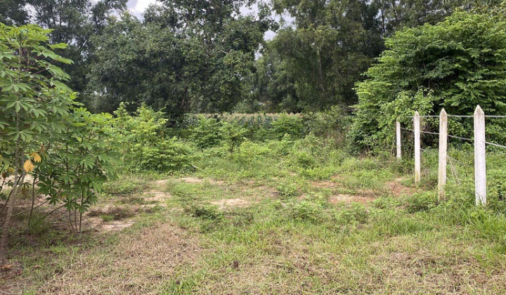 BIDV Kỳ Hòa bán đấu giá 2 lô đất ở tỉnh Bà Rịa Vũng Tàu