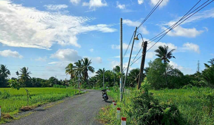 PG Bank bán đấu giá 10.051,5m2 đất nông nghiệp tại tỉnh Long An