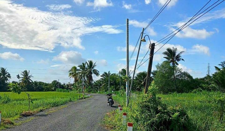 PG Bank bán đấu giá 10.051,5m2 đất nông nghiệp tại tỉnh Long An
