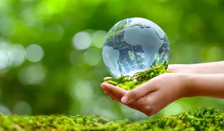 Hội thảo góp ý cho báo cáo đánh giá về “Cam kết chính sách về Môi trường