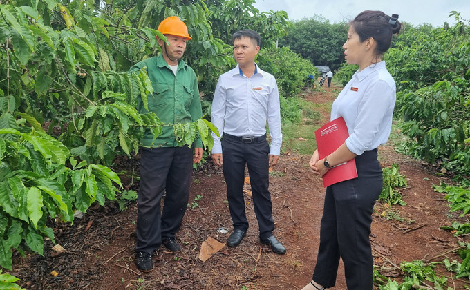 Agribank Đông Gia Lai:  “Bệ phóng” nông nghiệp Gia Lai