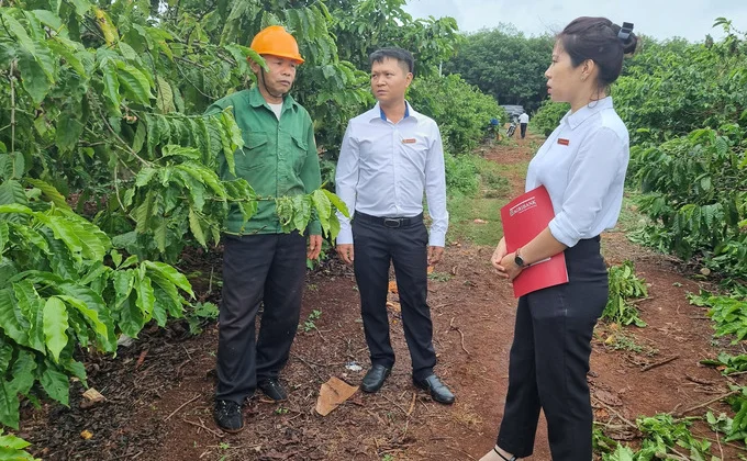 Agribank Đông Gia Lai:  “Bệ phóng” nông nghiệp Gia Lai