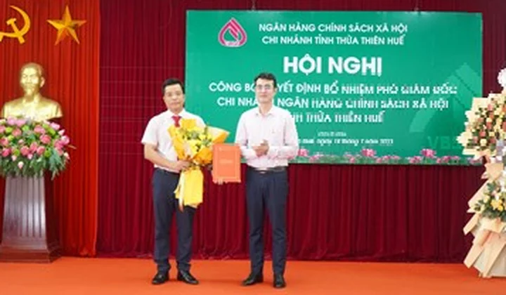 Bổ nhiệm Phó Giám đốc Ngân hàng Chính sách xã hội tỉnh Thừa Thiên - Huế
