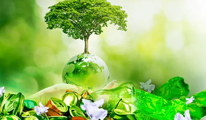 Lotte Finance tích cực lan tỏa lối sống xanh trong cộng đồng