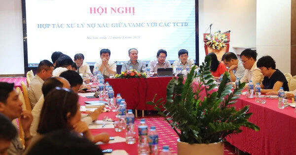 Thúc đẩy hợp tác giữa VAMC và các TCTD trong xử lý nợ xấu