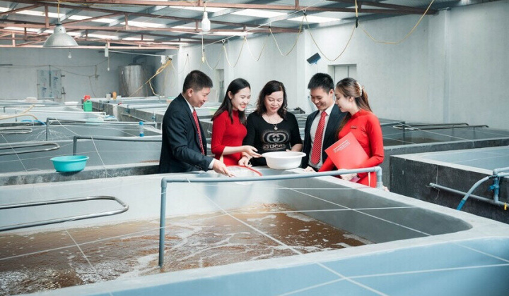 Agribank cùng ngành Ngân hàng tăng cường sức hấp thụ vốn cho doanh nghiệp