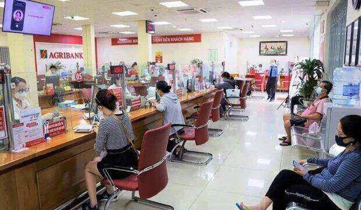 Banks still perform well amid pandemic-caused difficulties