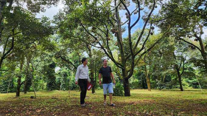 Nhiều nông dân Đắk Lắk có thu nhập ổn định và trở nên giàu có nhờ nguồn vốn từ Agribank