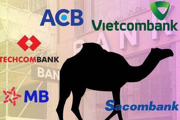 Vietcombank, ACB, Techcombank dẫn đầu ngành trên thang đánh giá CAMEL