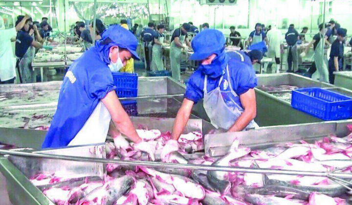 Tín dụng lâm, thủy sản kịp cho mùa cao điểm