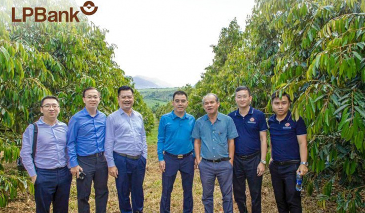 LPBank dành 6.000 tỷ đồng tín dụng 'xanh' cho miền Trung và Tây Nguyên